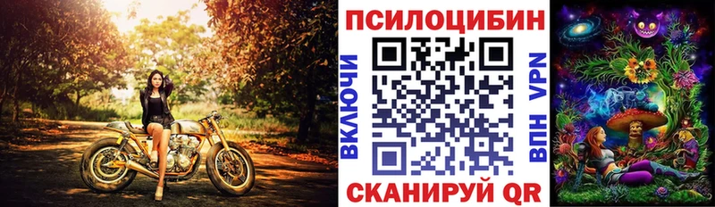 Псилоцибиновые грибы Psilocybine cubensis Армянск
